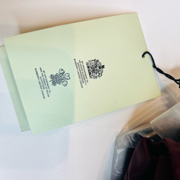 BURBERRY MEDIUM LOGO PRINT NYLON BURGUNDY RUCKSACK BACKPACK NEW WITH TAGS - Picture 7 of 17